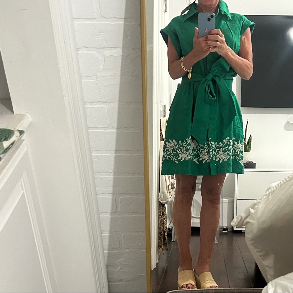 Tuckernuck Garden Green Embroidered Cotton Linen Mini Callie Dress - Picture 3 of 6